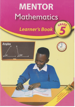 Mentor Mathematics Learners Grade 5